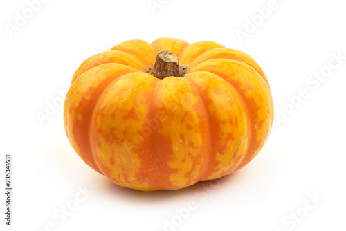 Mini orange decorative pumpkin, isolated on a white background. Close-up