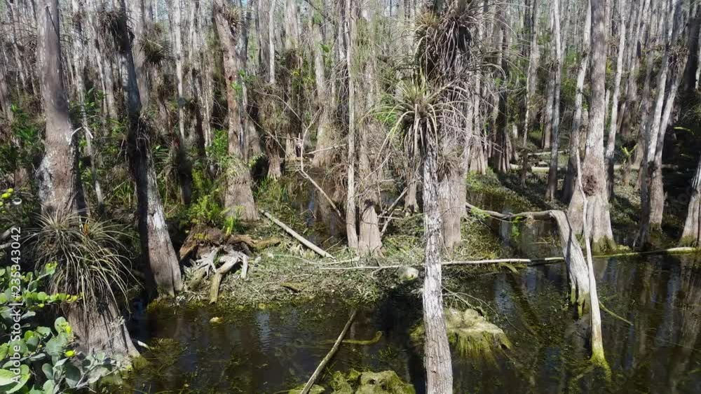 Landscape of wilderness in the Everglades National Park, Florida, USA Landscape of wilderness in the Everglades National Park, Florida, USA