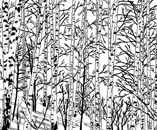 Vector image of a birch grove in the cold season