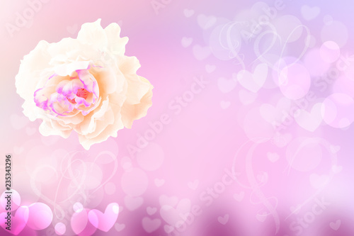 Flower abstract festive pastel background. A white rose blossom in soft focus with pink hearts lovely bokeh for wedding card or Valentine‘s day. Romantic textured backdrop. Card concept. Space.