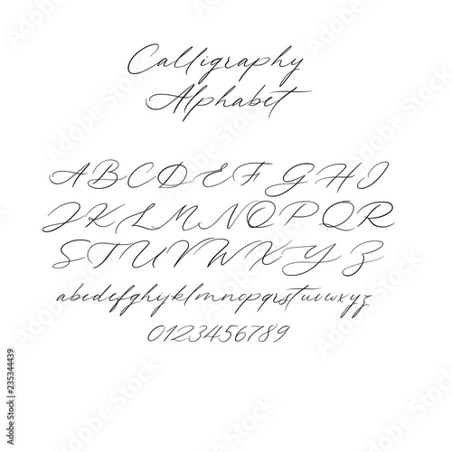 Hand drawn typeface set isolated on white. Brush painted characters: lowercase and uppercase. Vector font. Typography alphabet for your designs: branding, card, wedding invitation. Modern calligraphy