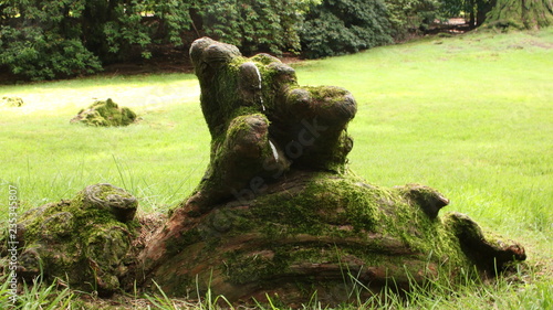 stones in garden