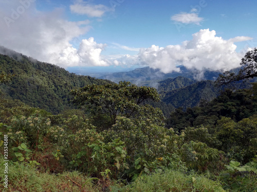 Panorama della foresta amazzonica in Ecuador