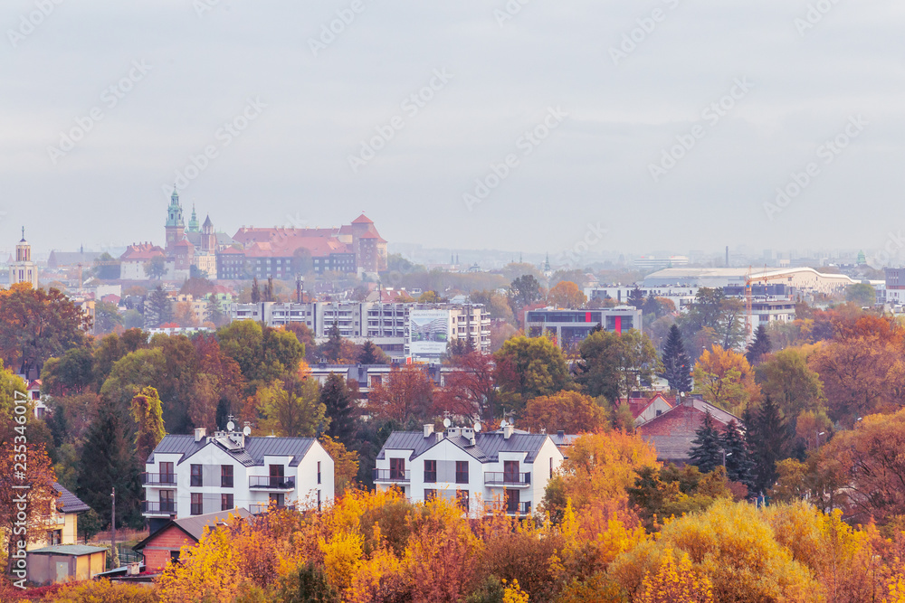 View of the Wawel castle in Cracow, Poland