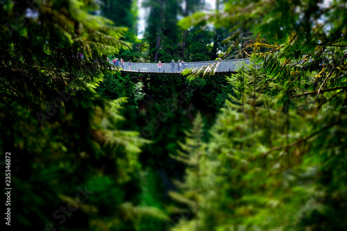 Tilt Shift Miniature Image of the Capilano Suspension Bridge through the forest in Vancouver, British Columbia photo