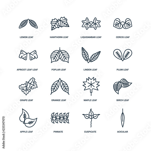 Set Of 16 Universal Editable Icons. Includes Elements Such As Ac