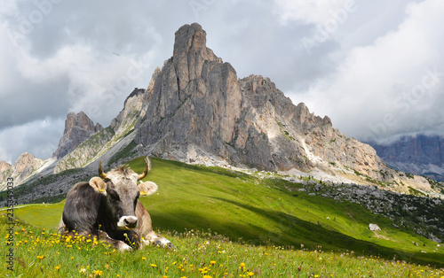 Landscape of italian alps