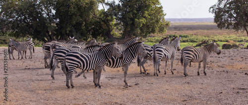 Amboseli National Park