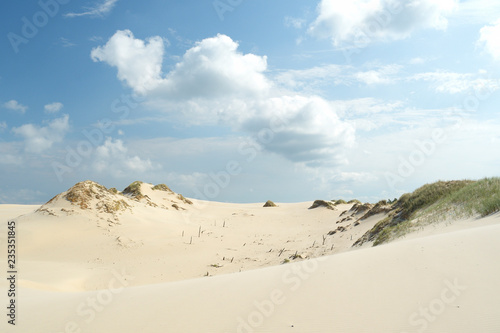 Grass and sand  Slowinski national park  sand dune Leba  Poland