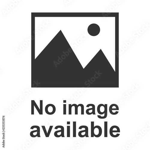No image available icon. Flat, vector illustration.