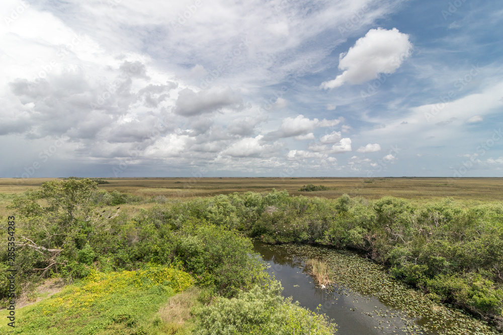 Obraz premium everglades national park