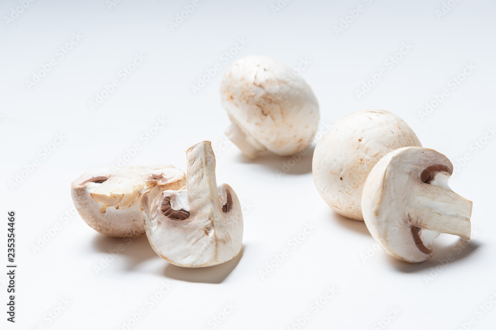 champignons champignons