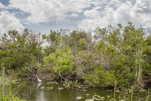 everglades national park