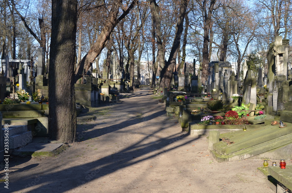 Stare Powązki, aleja cmentarna jesienią, Warszawa