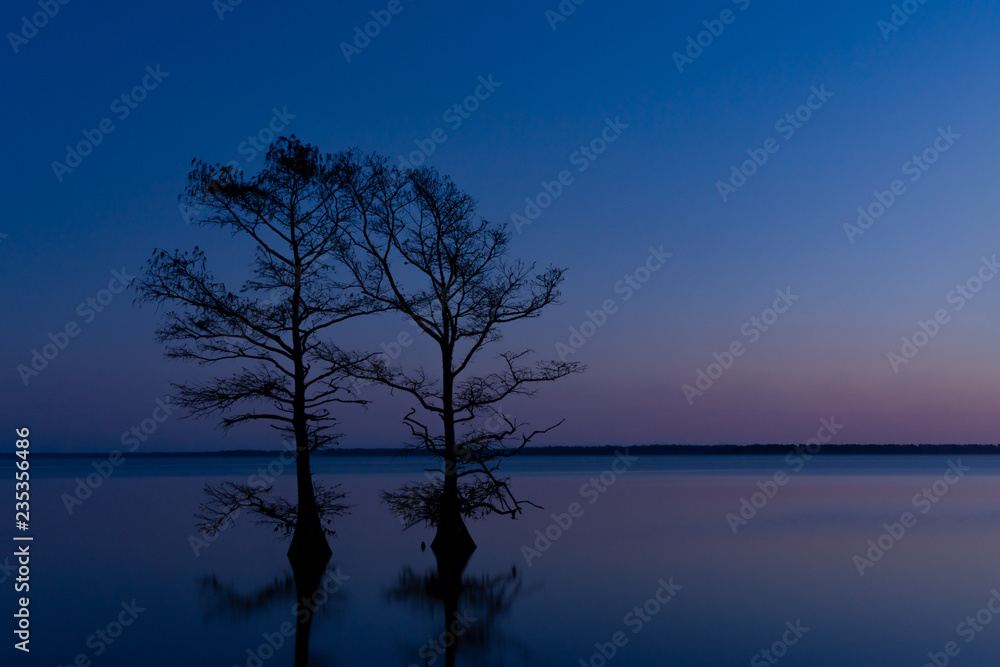 Cypress trees silhouetted against a sunset at Lake Mattamuskeet; a popular hunting and nature tourism destination in North Carolina. Cypress trees silhouetted against a sunset at Lake Mattamuskeet; a popular hunting and nature tourism destination in North Carolina.