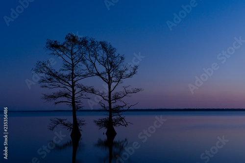 Cypress trees silhouetted against a sunset at Lake Mattamuskeet; a popular hunting and nature tourism destination in North Carolina. photo