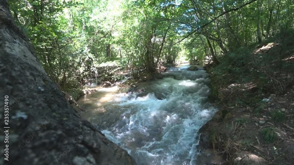 Mountain river in the deciduous forest Mountain river in the deciduous forest