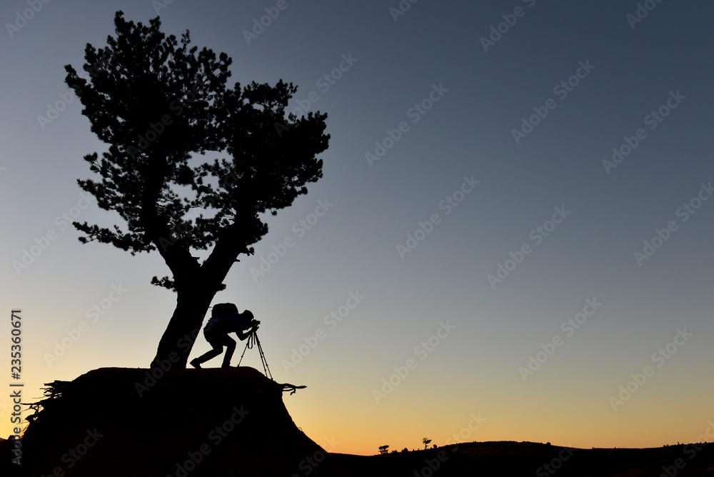 professional photography and professional works professional photography and professional works
