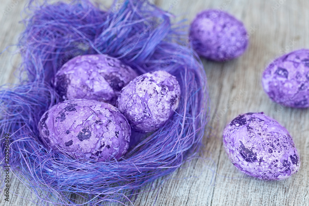 Obraz premium Nest With Easter Eggs