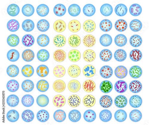 Large set of stylized images of colored bacteria in Petri dish.