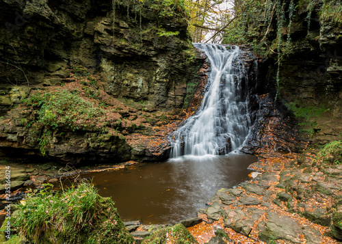 Fototapeta Naklejka Na Ścianę i Meble -  Hareshaw Linn, Waterfall, Northumberland, England, UK