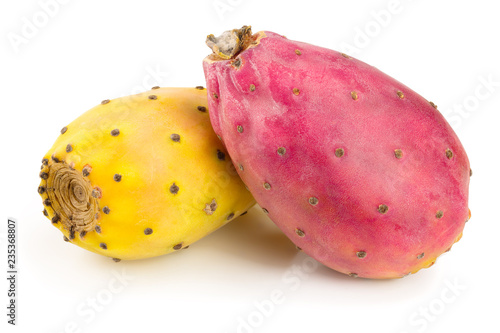 Foto red end yellow prickly pear or opuntia isolated on a white background
