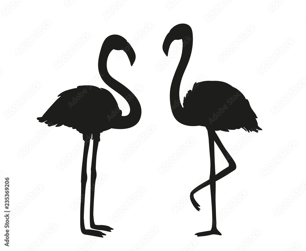 Flamingos. Cartoon birds. Image for polygraphy, t-shirts and textiles. Black and white illustration