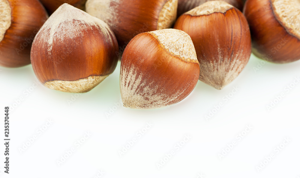 Hazelnuts, filbert on white background. heap or stack of hazelnuts. Hazelnut fruit background, healty food Hazelnuts, filbert on white background. heap or stack of hazelnuts. Hazelnut fruit background, healty food