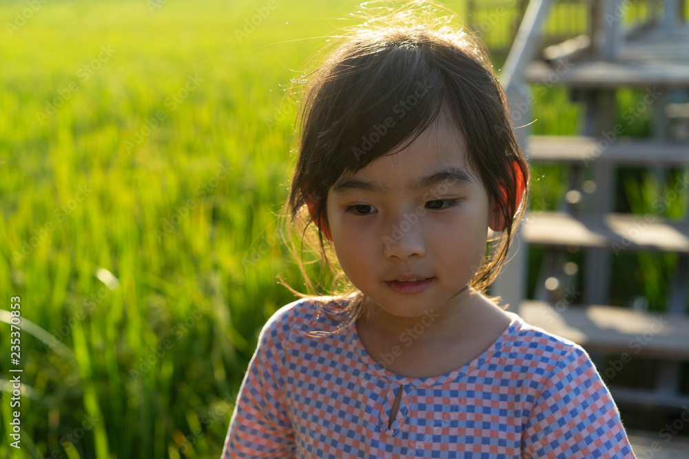 Portrait Cute little girl Asian happy background Rice field Portrait Cute little girl Asian happy background Rice field