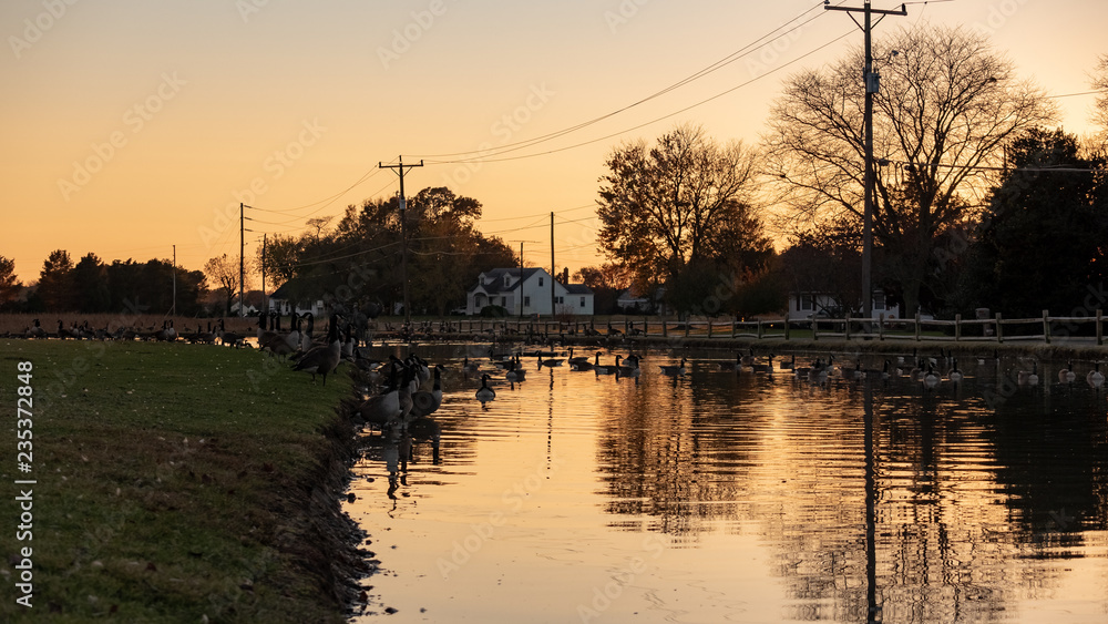 sunset on the lake