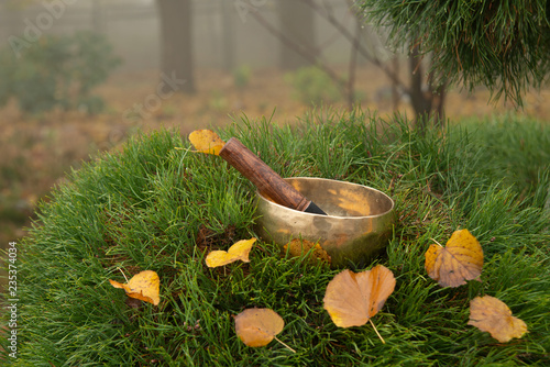 A small singing bowl stands on a branch of a pine tree beautifully strewn with yellow autumn leaves. Singing bowl on nature in autumn foggy morning as a symbol of peace and balance.