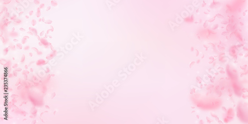 Sakura petals falling down. Romantic pink flowers 
