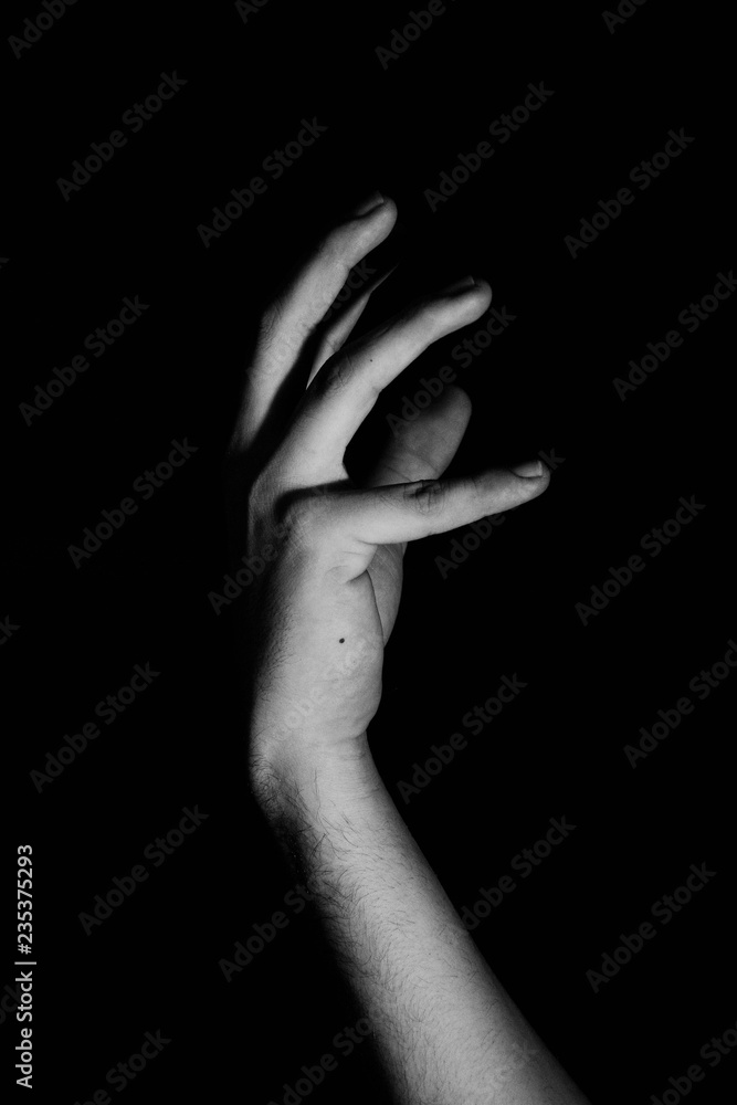 Fototapeta premium contraste