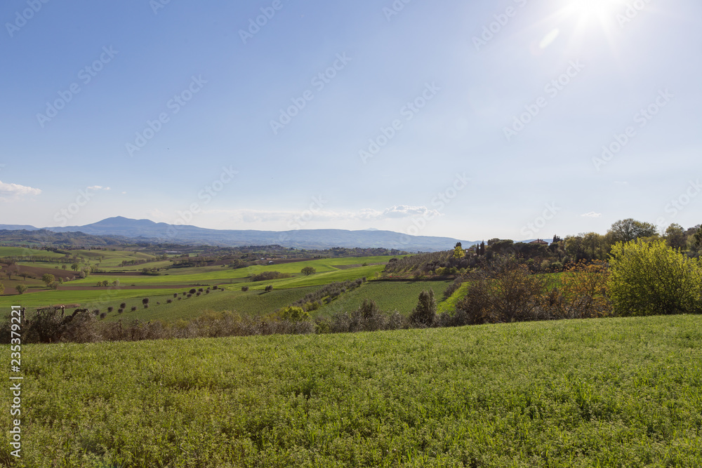 Fototapeta premium Green hills swaying with soft Umbre lines