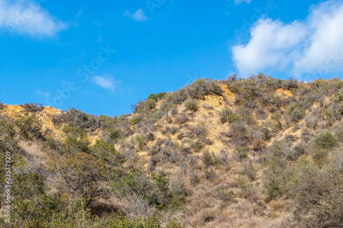 California forest hillsides on fall day with dry plants and blue sky for text