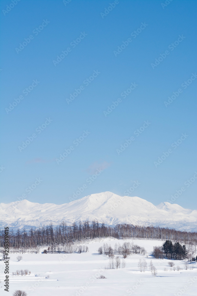 Fototapeta premium 雪山と青空 大雪山