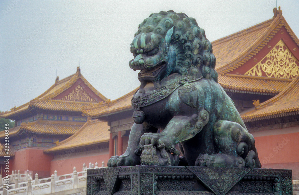Fototapeta premium Chinese Guardian Lion Statue at the Forbidden City, Beijing, China