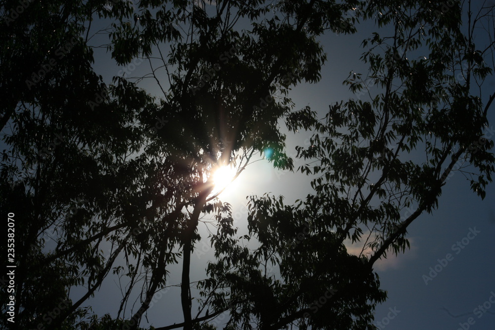 reflexo reflexo