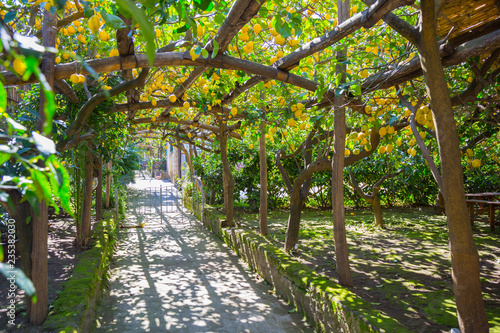 the delights of Sorrento