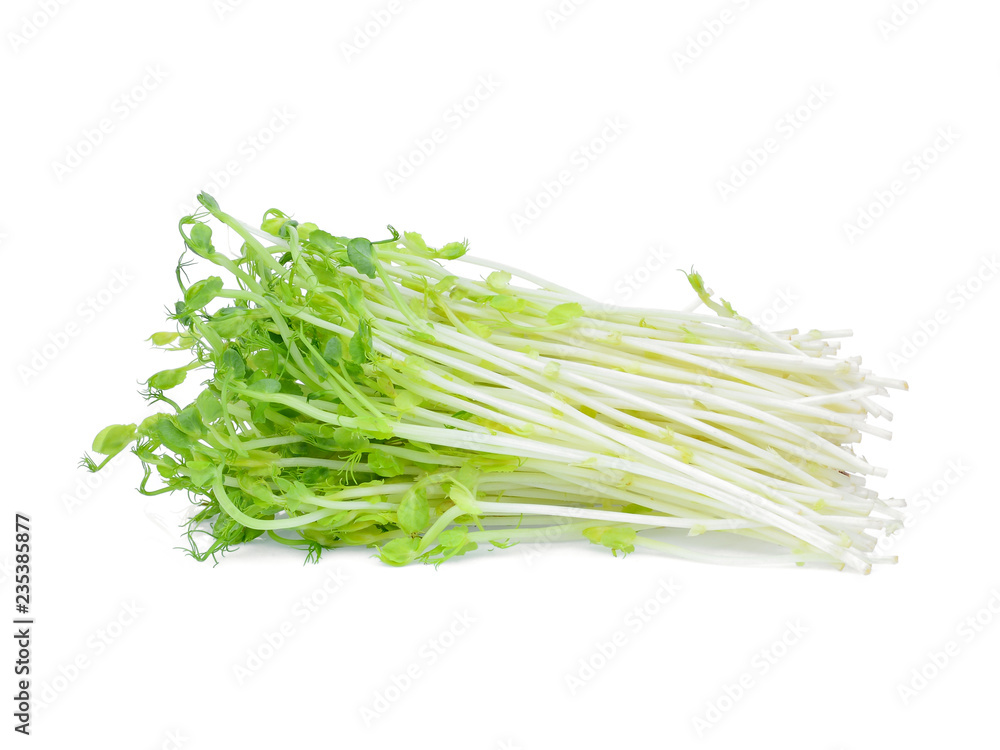 green snow pea sprouts isolated on white background green snow pea sprouts isolated on white background