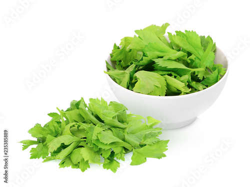 coriander leaves in the white bowl isolated on white background