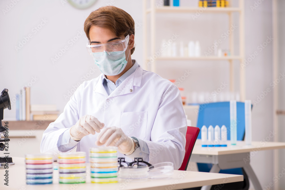 Young chemist working in the lab Young chemist working in the lab