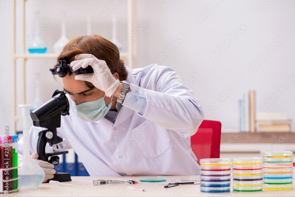 Young chemist working in the lab Young chemist working in the lab