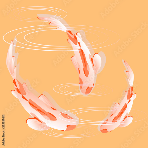 Set with fish, carp koi in water. Vector illustration, Cyprinus Carpio.