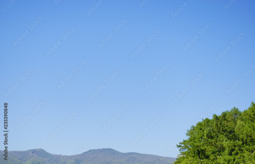 木　山　空　素材