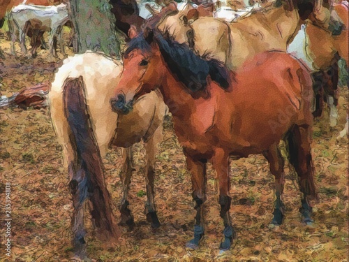herd of horses on pasture illustration