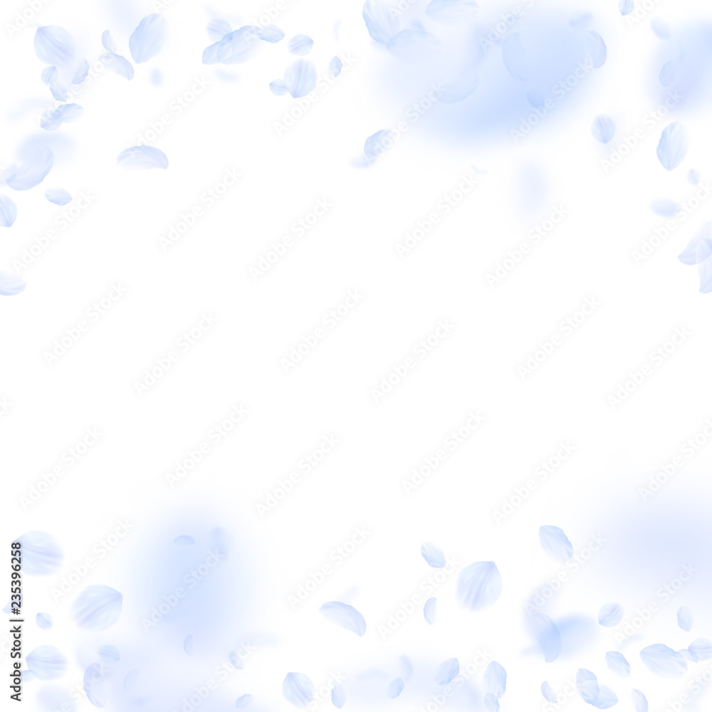 Light blue flower petals falling down. Lovely roma Light blue flower petals falling down. Lovely roma