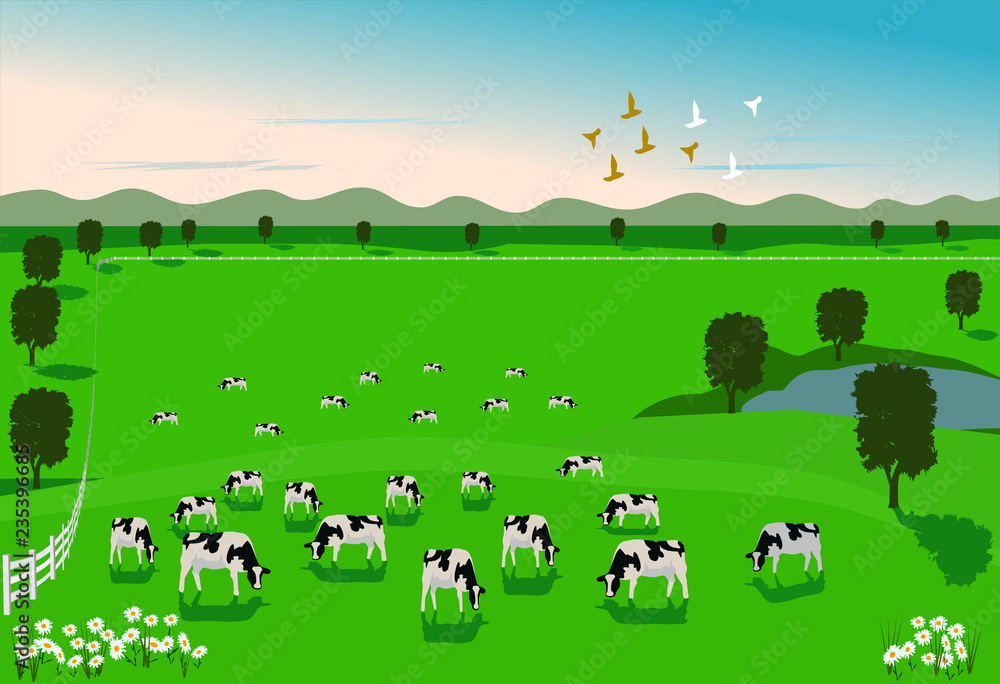 Cows are eating grass in a green field with a white fence surrounded. There is a mountain in the background. Cows are eating grass in a green field with a white fence surrounded. There is a mountain in the background.