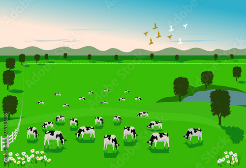 Cows are eating grass in a green field with a white fence surrounded. There is a mountain in the background.