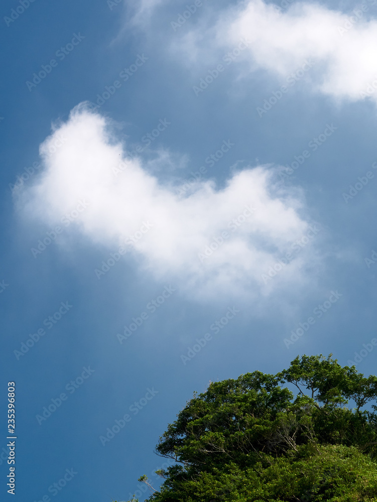 Tree, cloud and sky